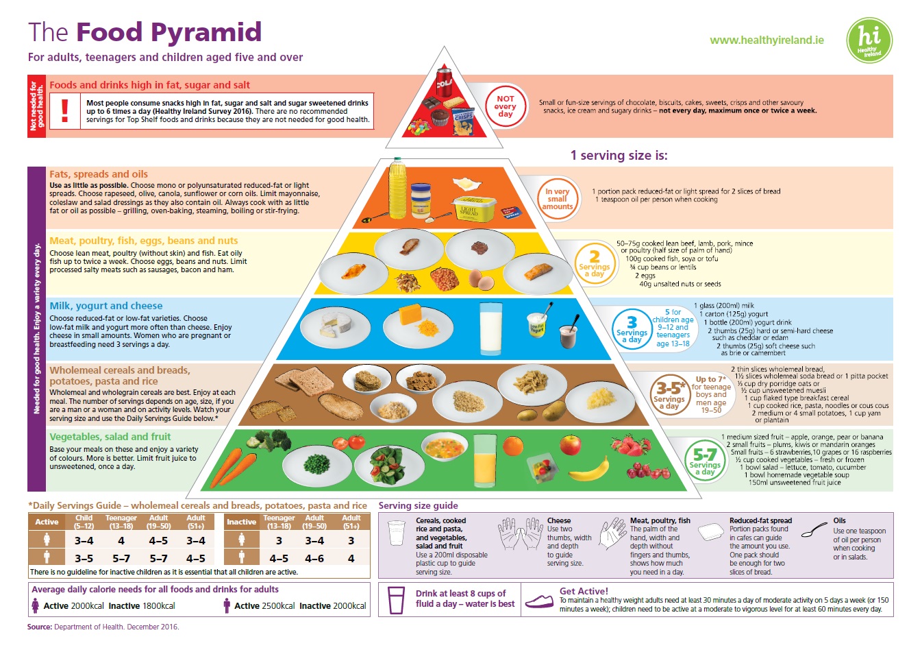 Food Pyramid Professional Version